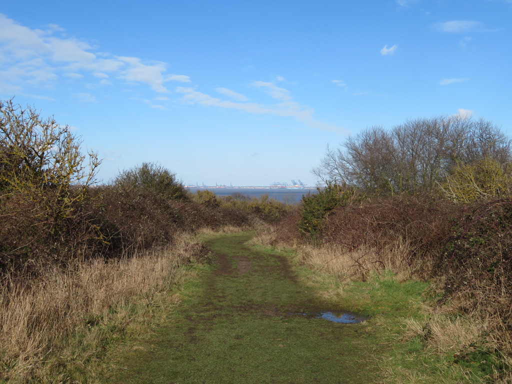 Path across The Naze by lellie