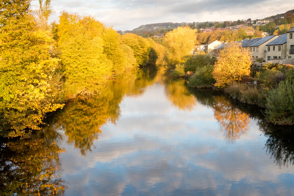 River Calder autumn colours by peadar