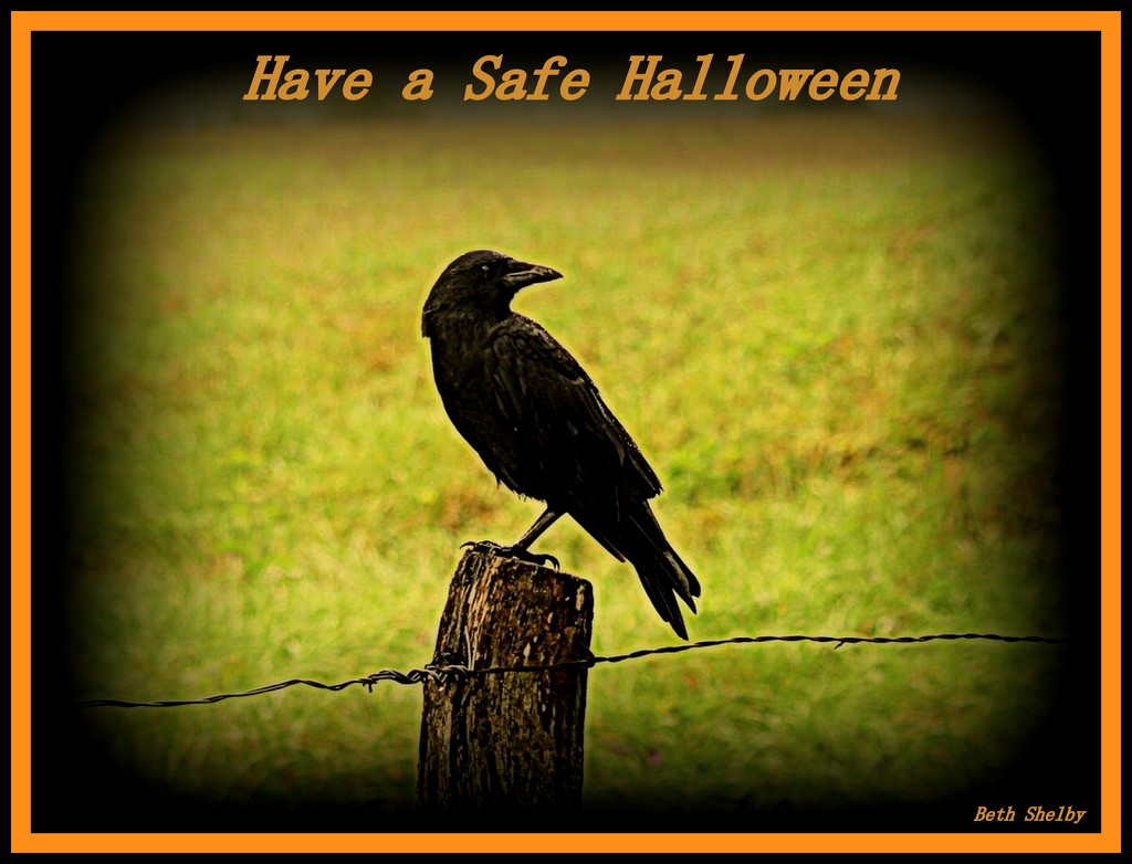 Have a Safe Halloween by vernabeth