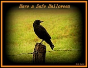 31st Oct 2019 - Have a Safe Halloween