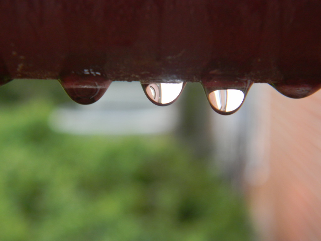 Raindrops on Railing  by sfeldphotos