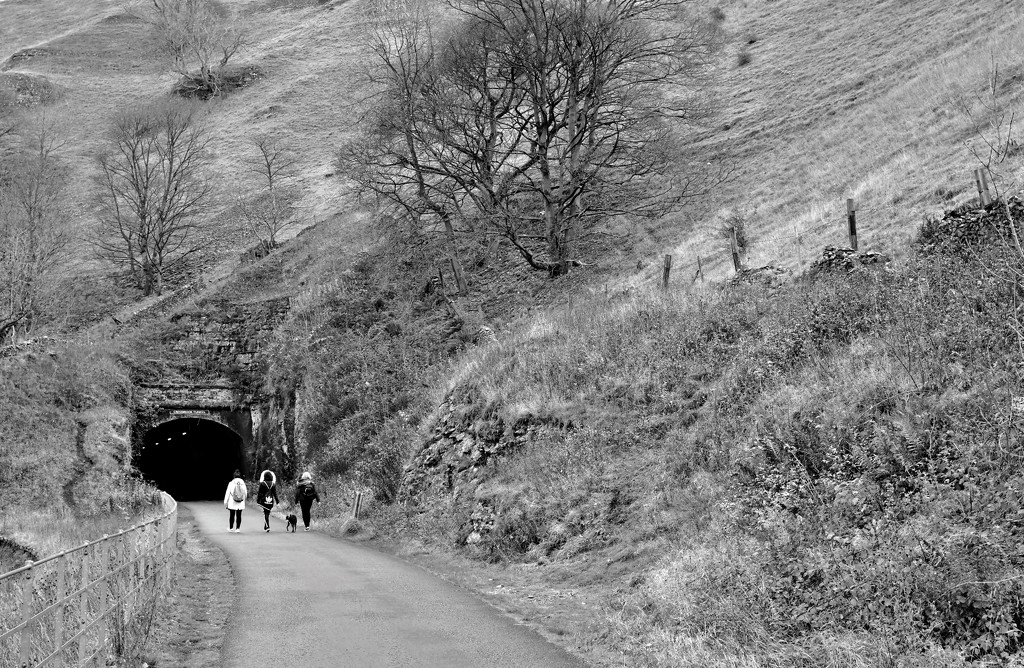 Approaching the Cressbrook Tunnel (vintage Pentax M 28mm f3.5 SMC lens) by phil_howcroft