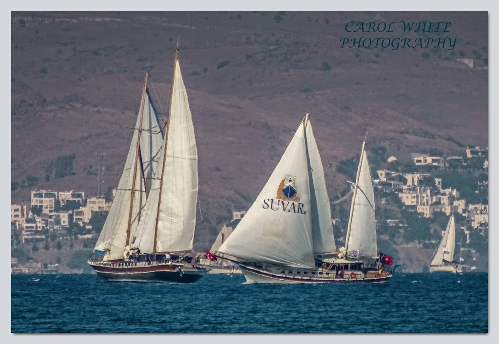 Sailing On The Aegean by carolmw