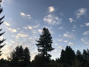 31st Oct 2019 - Sky at morning