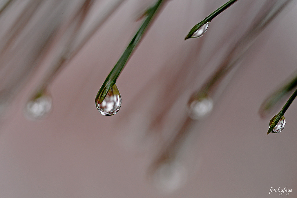 Droplets by fayefaye