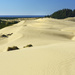 Oregon's Dunes by jgpittenger