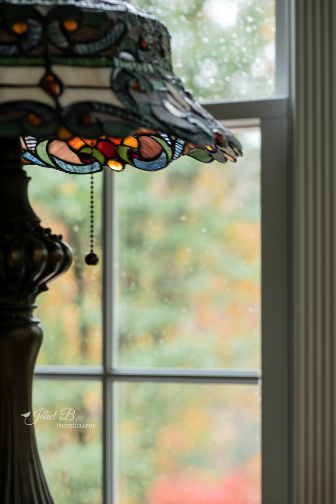Sunroom View by janetb