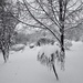 20 cm(8") of Snow Overnight! by radiogirl