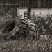 Big Tires in the Grass by olivetreeann