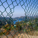 (Day 261) - Lake Hollywood Framed by cjphoto