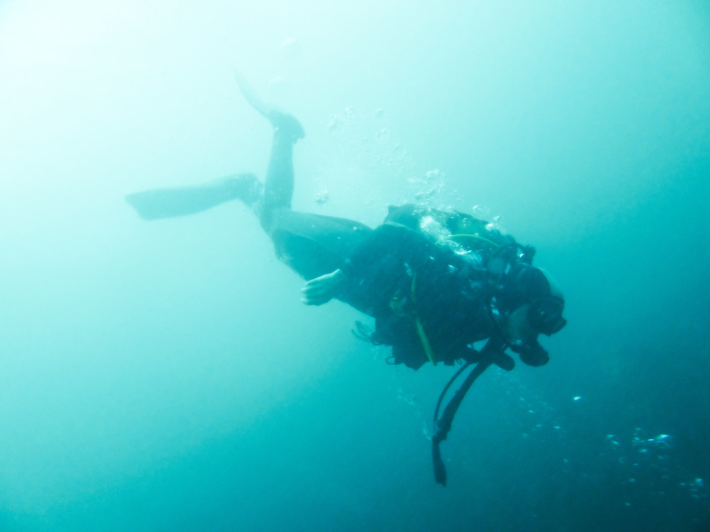 Scuba diving in Aguadulce by petaqui