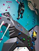 24th Oct 2019 - Climb to the top