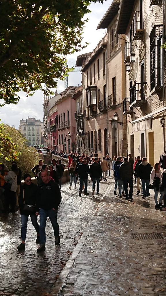 The cobbled street by peadar