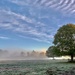 Bradgate in the mist by shepherdmanswife