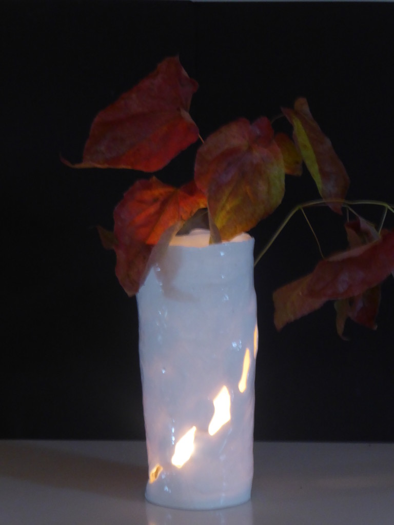 Autumn leaves in a vase by snowy