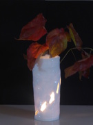 28th Oct 2019 - Autumn leaves in a vase