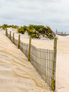 2nd Nov 2019 - dunes