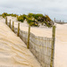 dunes by jernst1779