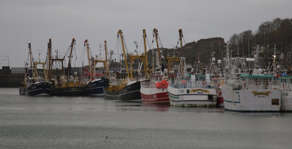 Newlyn Harbour by jqf