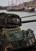 1st Nov 2019 - Lobster pots at Newlyn Harbour...