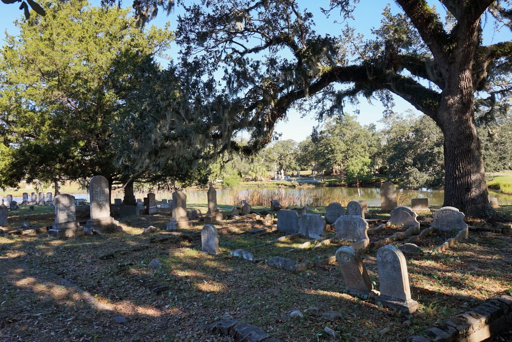 Magnolia Cemetery, Charleston, SC by tunia