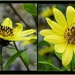industrious little bees by quietpurplehaze