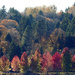 Autumn Colors  by seattlite