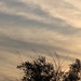 September 21: Sky by daisymiller