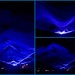 Waterlicht Light Show by merrelyn