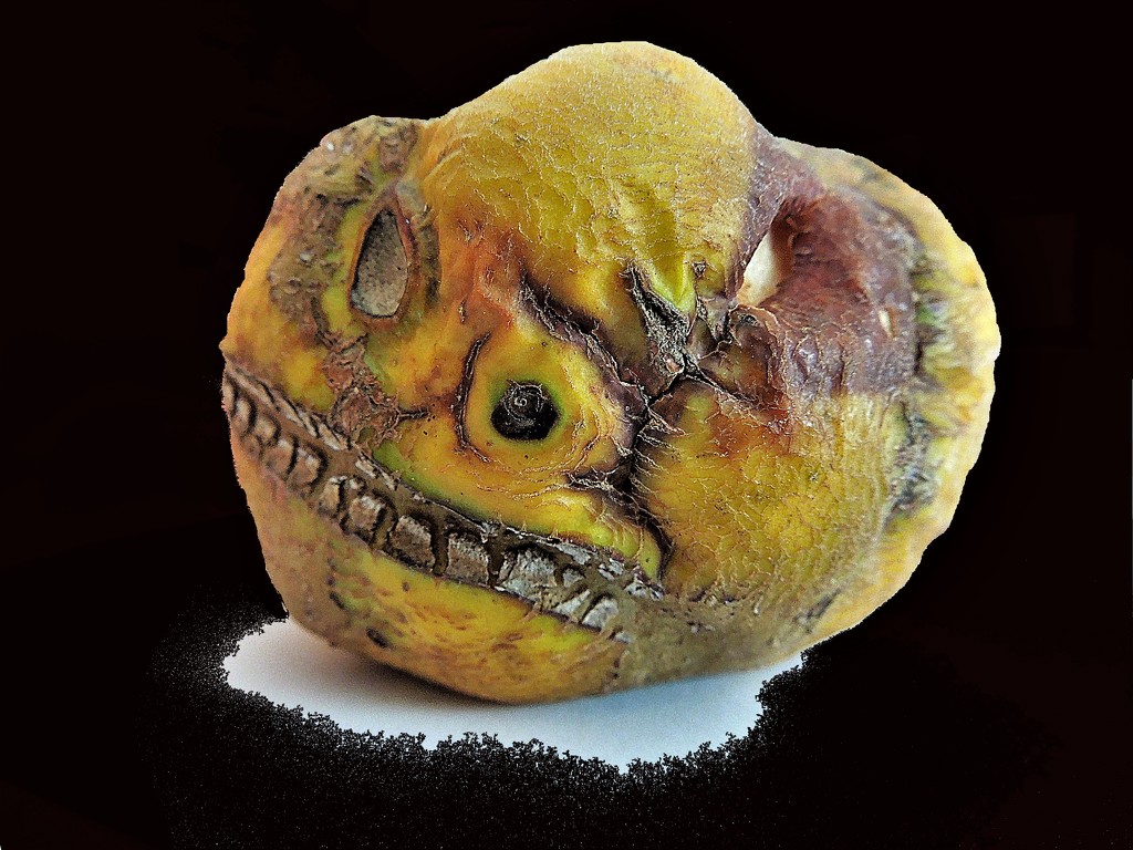 The apple zombie, one week later by etienne