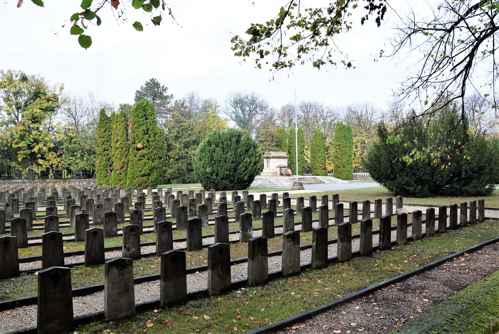 Military cemetery by kork
