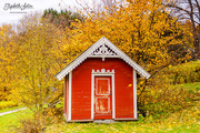 3rd Nov 2019 - A small red cabin
