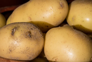 3rd Nov 2019 - Potatoes