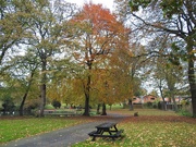 28th Oct 2019 - Autumn in Vernon Park