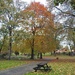 Autumn in Vernon Park by oldjosh