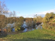29th Oct 2019 - Flooded - Iremongers Pond