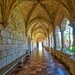 More from the Spanish Monastery by danette