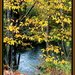 Leaves Along the Creek by vernabeth