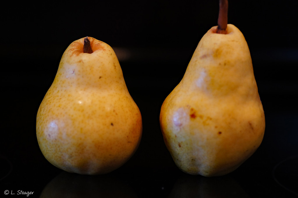 A pair of pears by larrysphotos