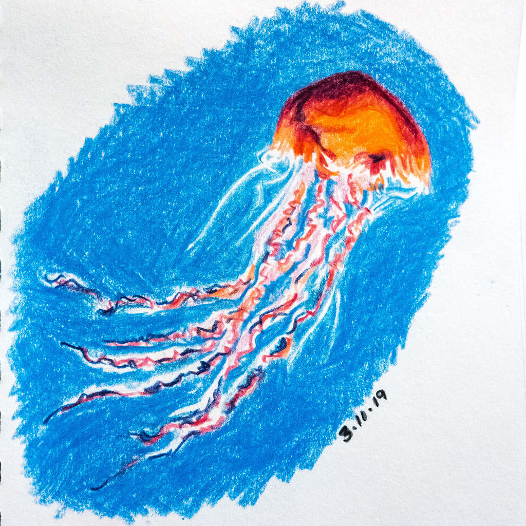 Jellyfish by harveyzone