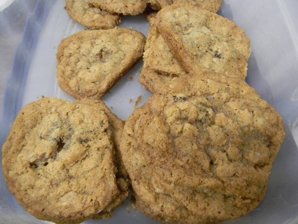 Oatmeal Raisin Cookies by sfeldphotos
