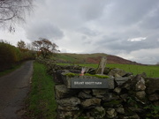 4th Nov 2019 - further up the hill