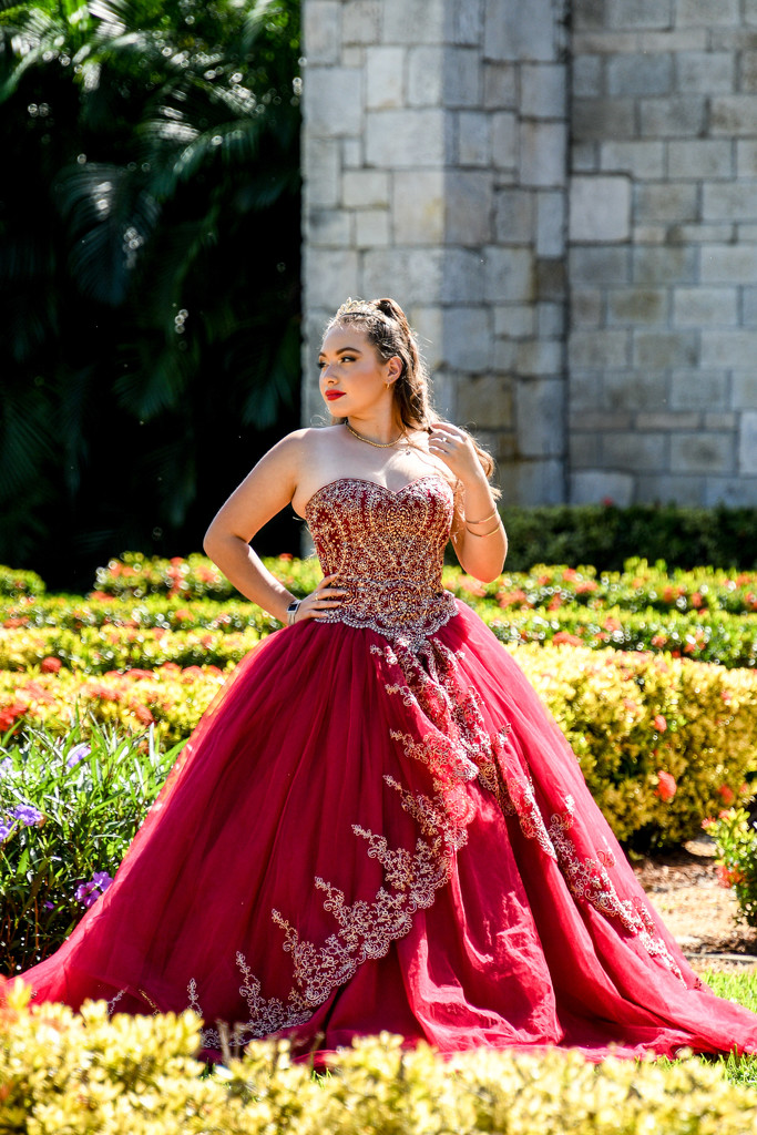 Quinceanera by danette