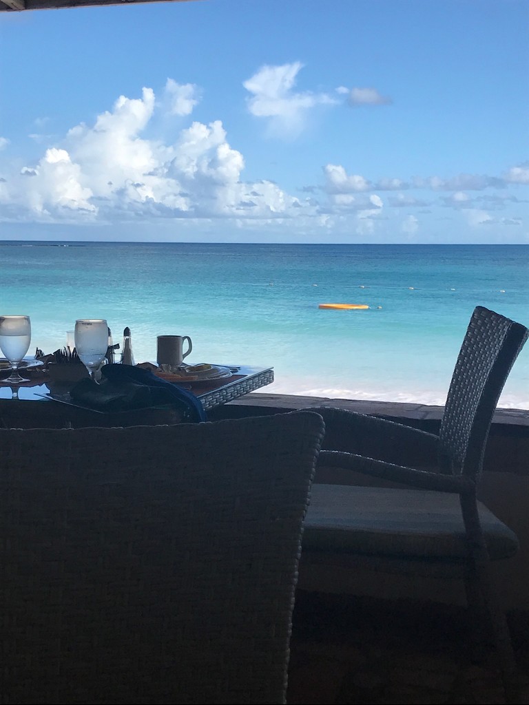 Breakfast View  by elainepenney