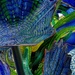 381 - Chihuly Glass by bob65