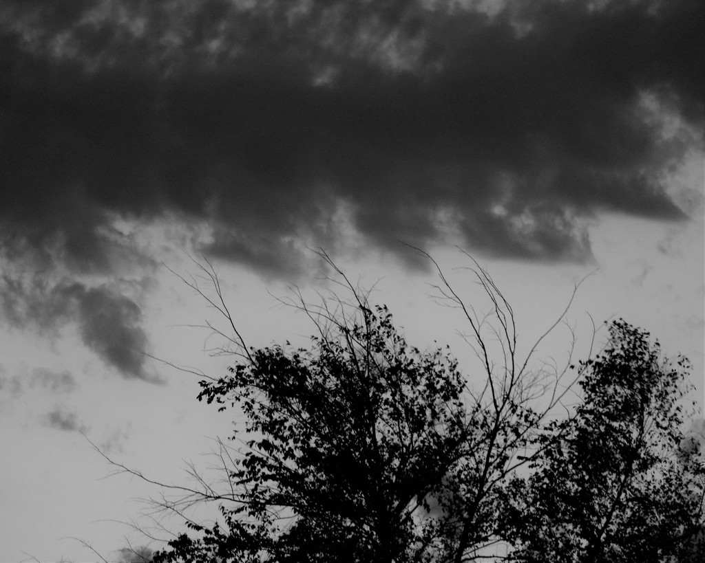 September 28: Dark Clouds by daisymiller