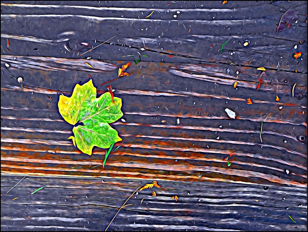 The Last Leaf of Summer by olivetreeann