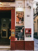30th Aug 2019 - Flamenco
