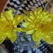 Yellow chrysanthemums. by grace55