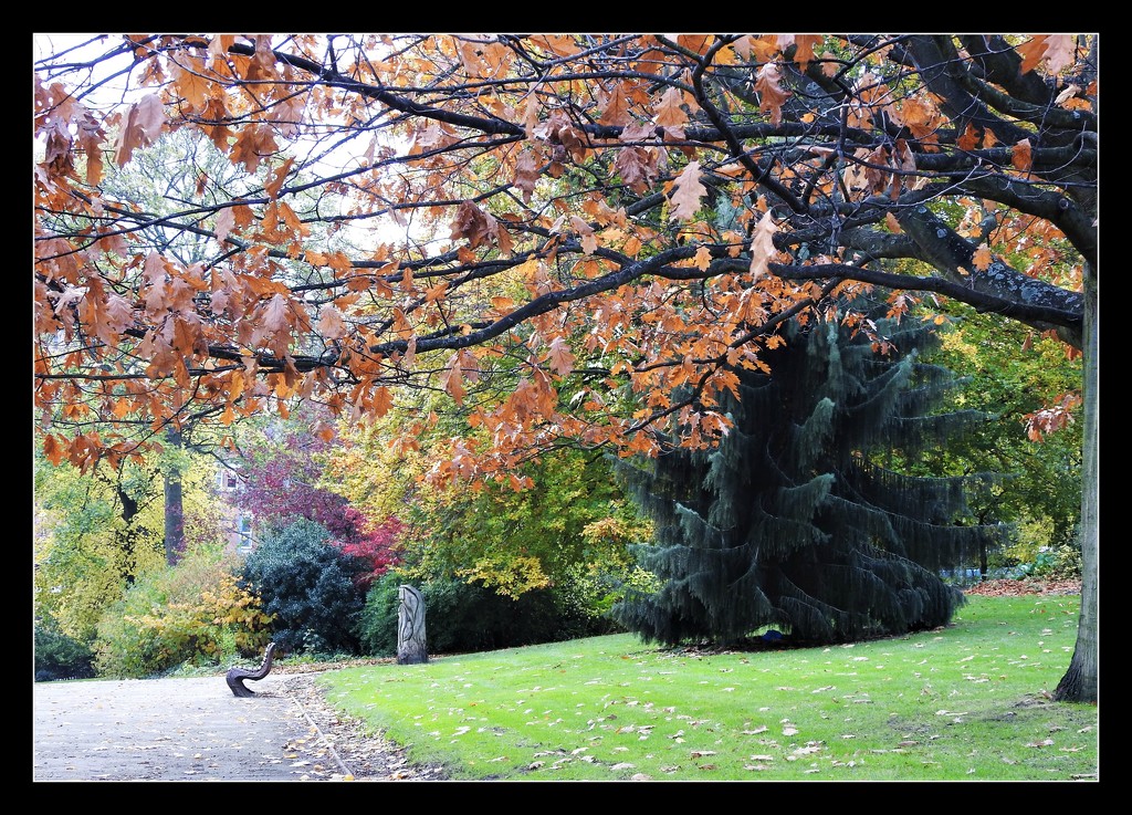 Arboretum Colours  1 by oldjosh